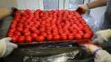 Власти запретили производителям яиц повышать цены на Пасху
