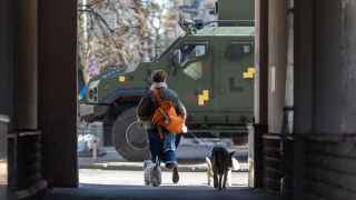 Женщина выгуливает собак в Киеве.